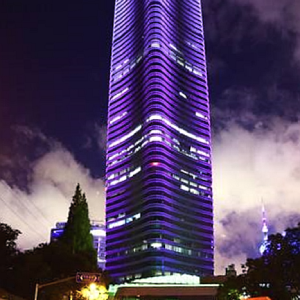 上海白玉蘭廣場鋼結(jié)構(gòu)制造